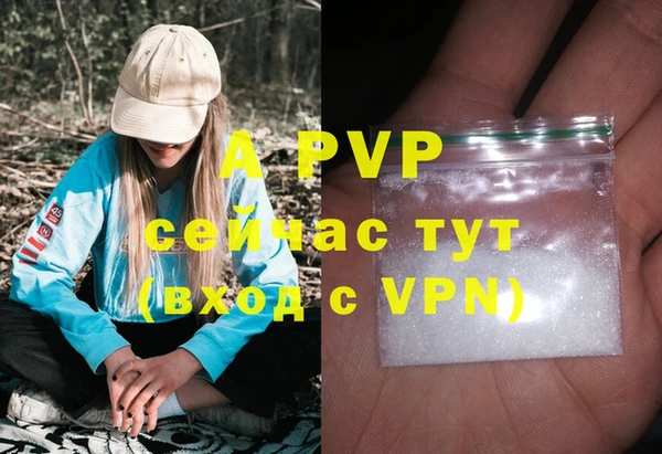 прущие крисы Балахна