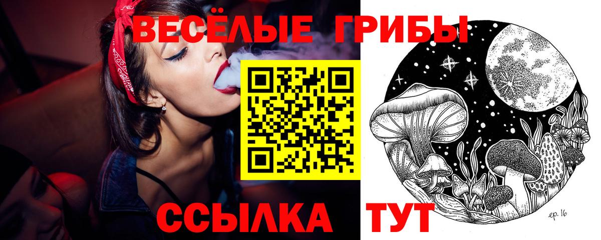 Псилоцибиновые грибы Cubensis Георгиевск